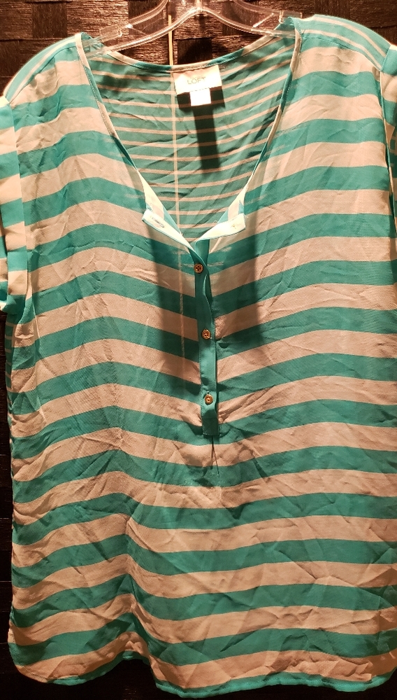 Loft sheer blouse